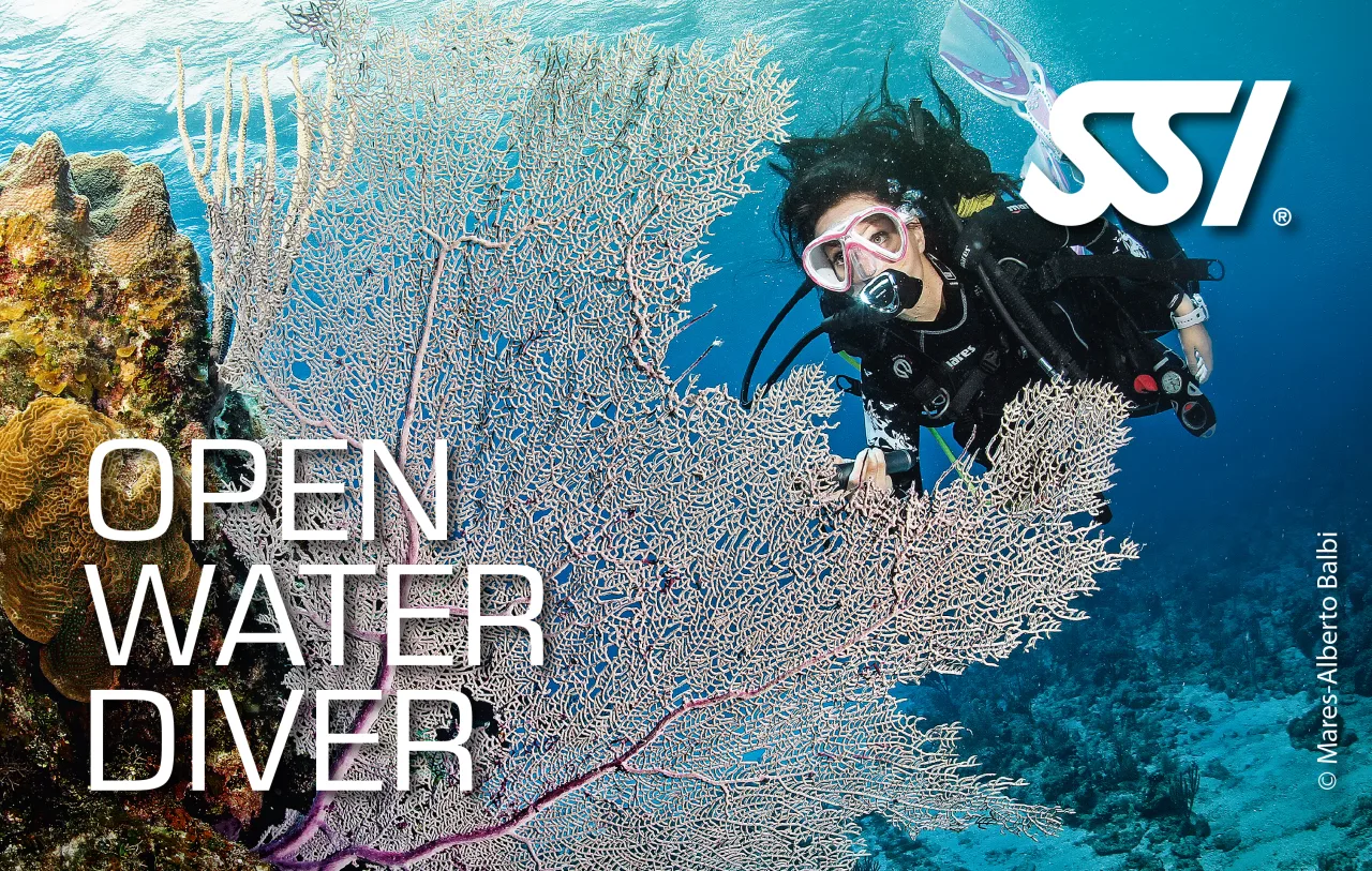 Rewers certyfikatu Open Water Diver